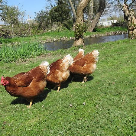 Bed&Brood De Straverdonk Graft Zewnętrze zdjęcie