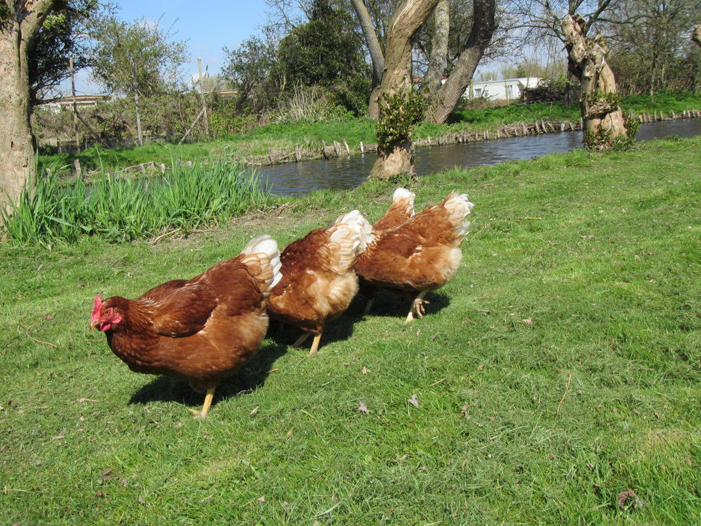 Bed&Brood De Straverdonk Graft Zewnętrze zdjęcie