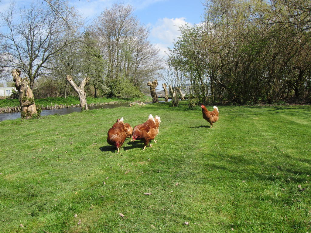 Bed&Brood De Straverdonk Graft Zewnętrze zdjęcie