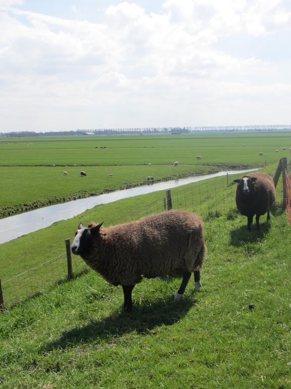 Bed&Brood De Straverdonk Graft Pokój zdjęcie