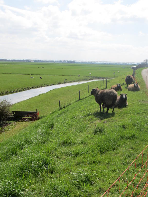 Bed&Brood De Straverdonk Graft Pokój zdjęcie